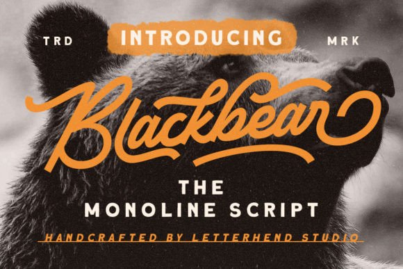 Blackbear Font: Elegant Script for Digital Marketing