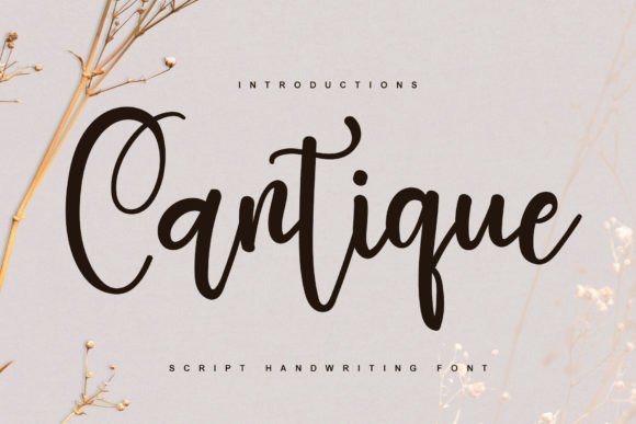 Cantique: A Stylish Handwritten Font