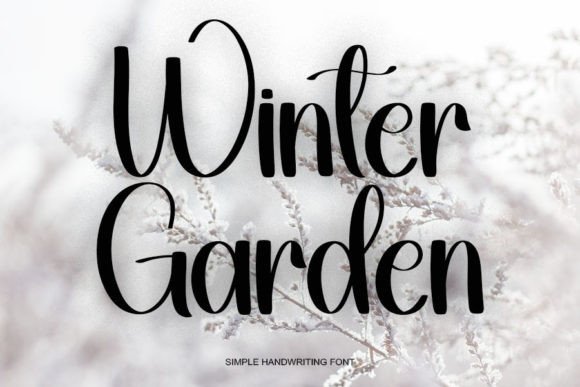 Wintergarden: A Font for Creative Campaigns